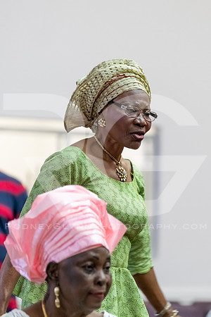 Adeokun 75th Birthday