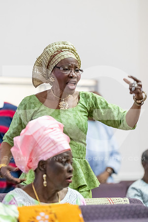 Adeokun 75th Birthday