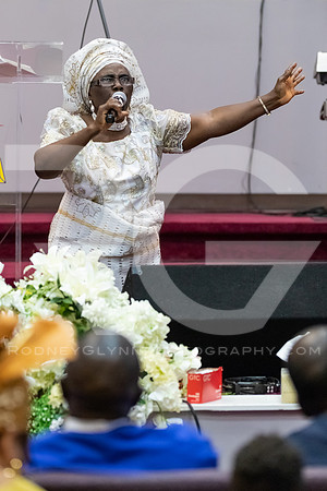 Adeokun 75th Birthday