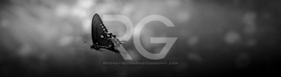September 07, 2018_RGP7234_56217