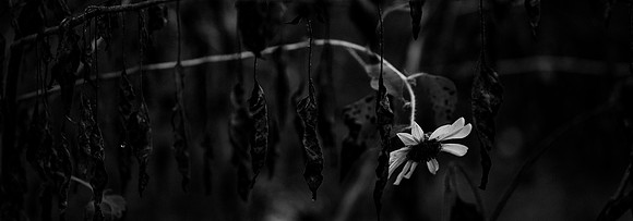 September 22, 2018_RGP9348_63349