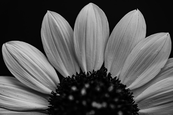 July 18, 2018_RGP2718_51187