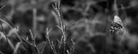 September 07, 2018_RGP7059_56630