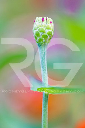 July 20, 2018_RGP3067_51709