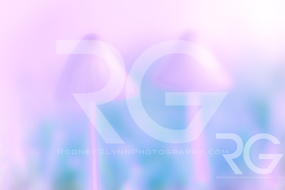 September 25, 2019_RGP1257_80917